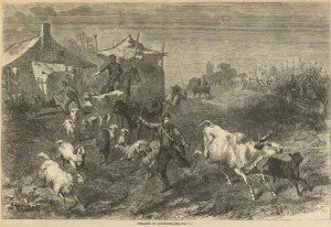 Harpers Weekly - Soldiers Foraging
