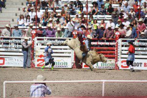 Cheyenne Frontier Days Bull Riding